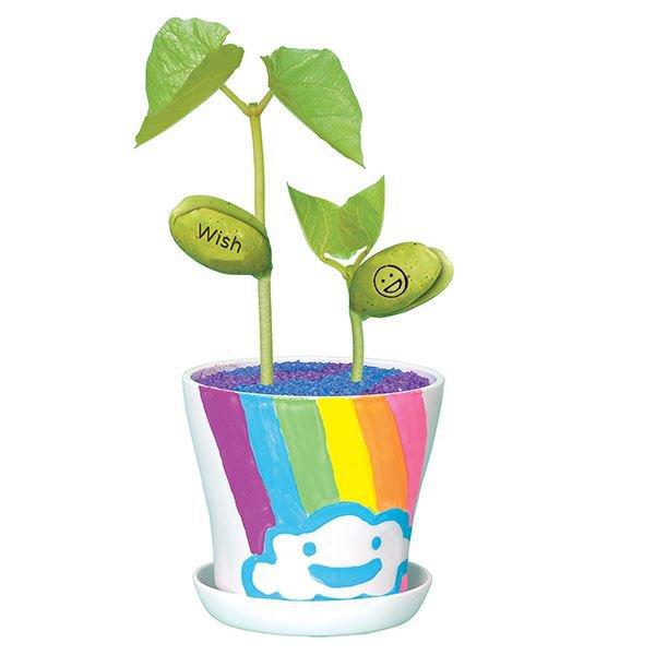 Magic Bean Garden Toy Town