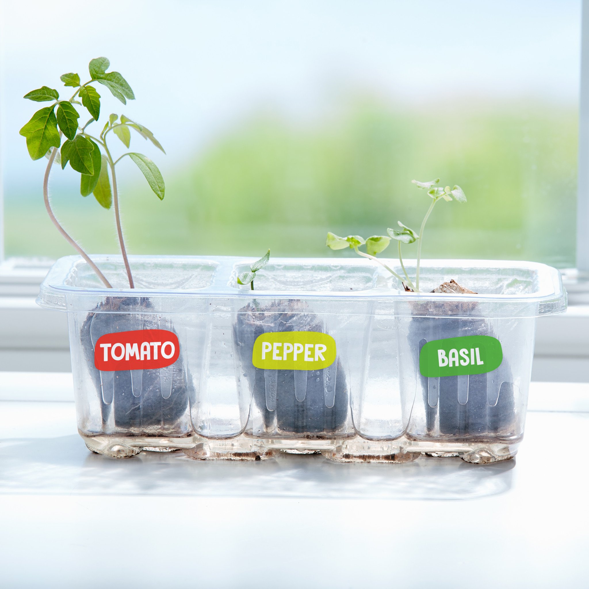 Pizza Garden Kit Toy Town