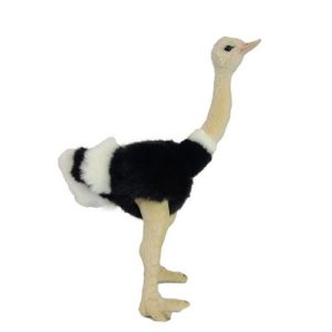 4503