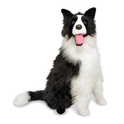 Toy clearance border collie