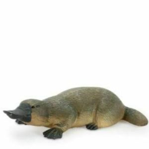 8002